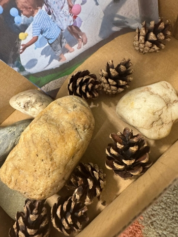 542668328_1527499118473163_8784145053392615351_n