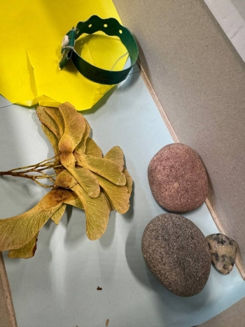 545372177_1527498311806577_2144009856311059510_n