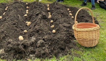 570598274_1566998447856563_4531912130001177806_n