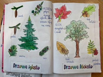 571166940_1571464630743278_4798900338973622001_n