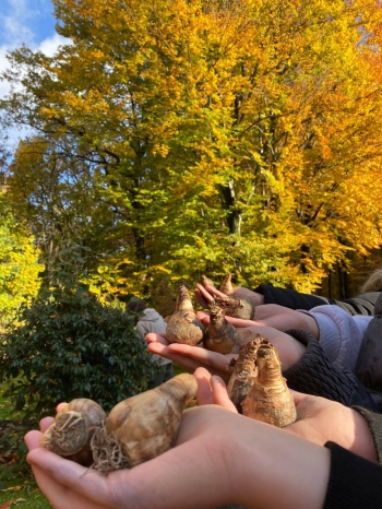 571275847_1573304847225923_8177257608344376752_n