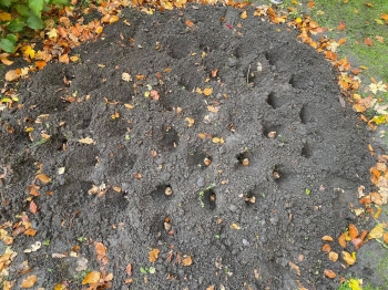 571374186_1573304913892583_3657989324250677651_n