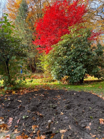 573587698_1573305000559241_5056192114897411392_n