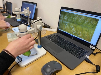 580009690_1586760965880311_215270080436103006_n