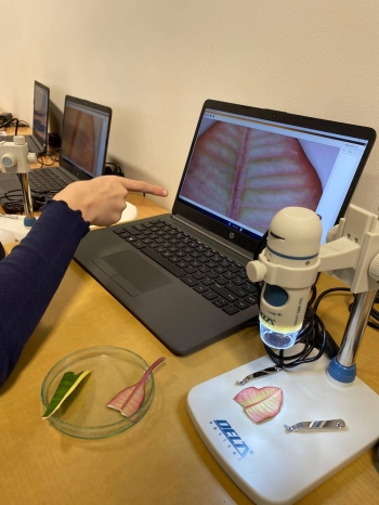 582434113_1586761039213637_2765791300473672138_n