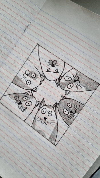 581537559_1587258892497185_2890074888746784238_n