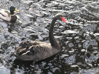 582025843_1587634102459664_8408690933601915941_n