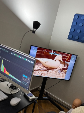 586320487_1591371152085959_8734616160090391427_n