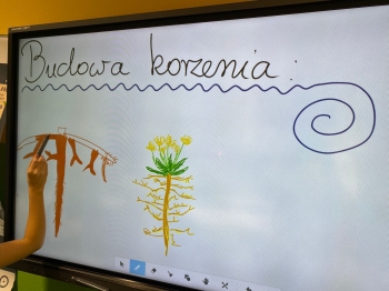 589214953_1597905744765833_1043909303090099137_n