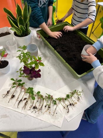 590770778_1597905904765817_6370742661297942421_n