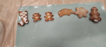 594134123_1603020254254382_7612179726898803929_n