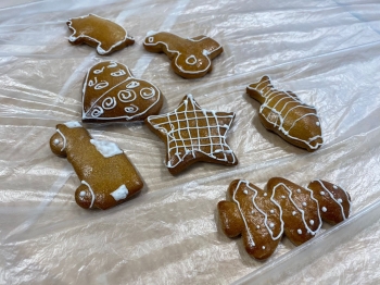 594784226_1603111094245298_6860029807930107187_n