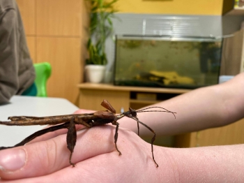 595452398_1603355024220905_1837009361346083379_n