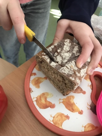 616255260_1640628697160204_6937979370181077266_n