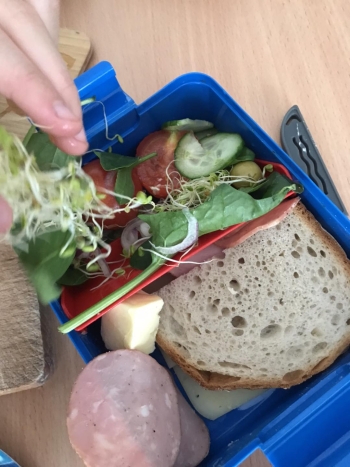 618403833_1640628727160201_7118849236255899141_n