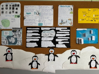 630909608_1660578208498586_3529287154658036087_n