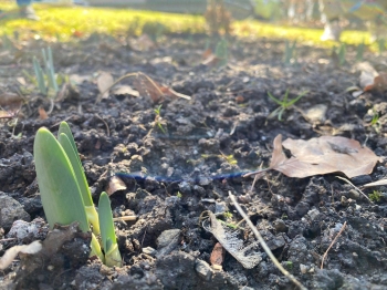 648739746_1681104616445945_3623353101838399055_n