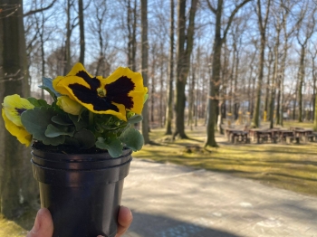 649898580_1681104846445922_7000525128234737917_n