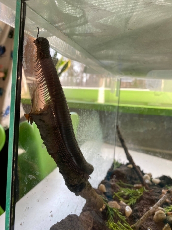 648759169_1682691646287242_9203785080573143737_n