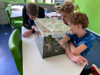 648850435_1682691432953930_7040829734421419625_n