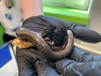 649146054_1682691272953946_6025443163010426601_n