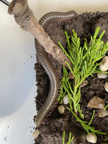 649364225_1682691492953924_6871537877034923335_n