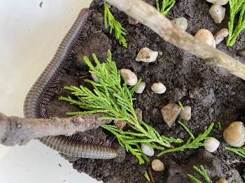 649487803_1682691832953890_1904782004330644974_n