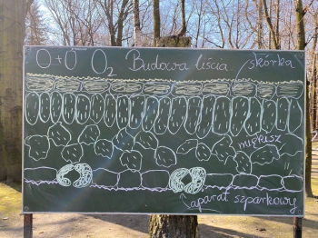 650793638_1685005852722488_2377816424214756971_n