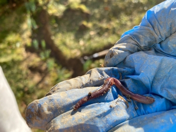 651241122_1685006532722420_4530345415448313681_n