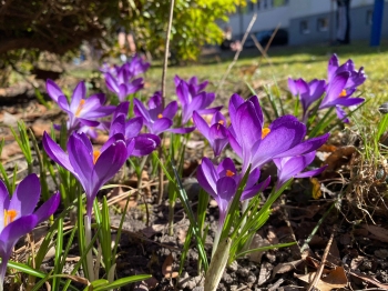 651360228_1685005916055815_5897599708982138484_n