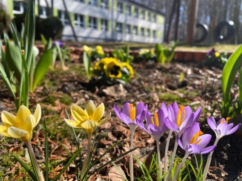 652148152_1685006329389107_8858175370783572280_n