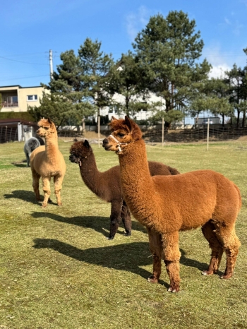 658157665_1700627477826992_2958701777785002499_n