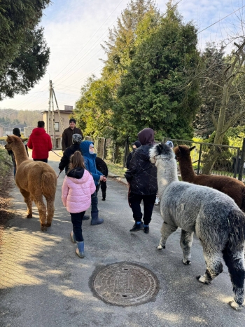 658914892_1700627761160297_8025767553862505608_n