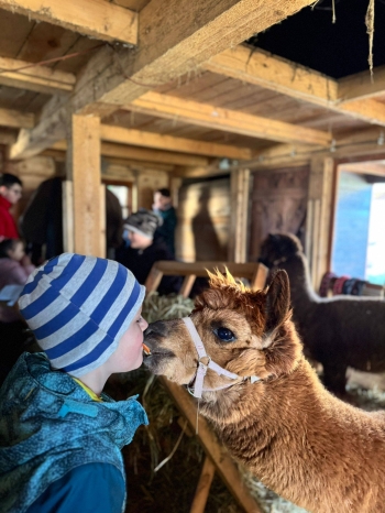 660532485_1700629021160171_2270198925230638157_n