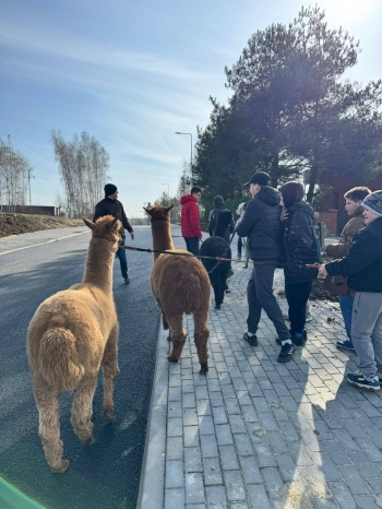 661376969_1700627567826983_1301560357829866490_n