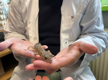 673342187_1713726249850448_699947025925601758_n