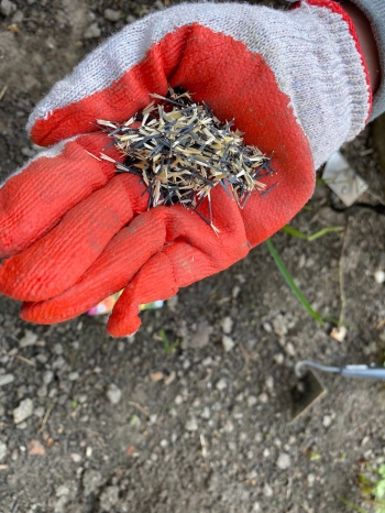 672685561_1714637483092658_5096771741416928637_n