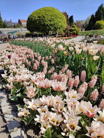 681140996_1720644019158671_4885101099497445970_n