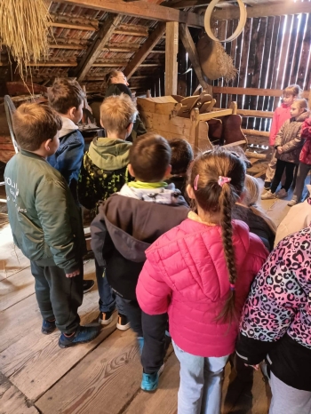 682950443_1722011529021920_7142467992624503896_n