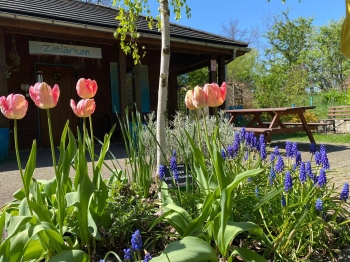 685429363_1722906848932388_2096898376190393569_n