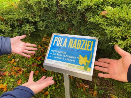 Sadzimy żonkile dla Hospicjum