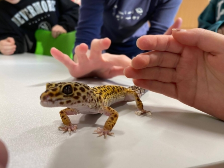 Zajęcia przyrodniczo-laboratoryjne