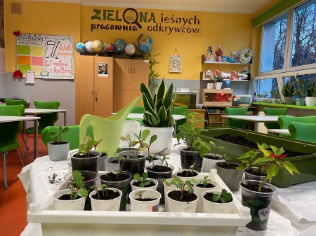 Zajęcia przyrodnicze w ramach projektu ''Radlin-miasto talentów''