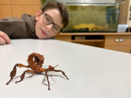 Radlin - miasto talentów