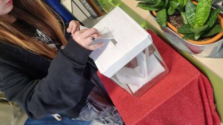 Wybory do Młodzieżowej Rady Miasta 