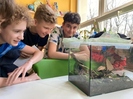 Marszczelec pierścieniowy 