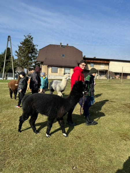 Wycieczka do Alpakoramy