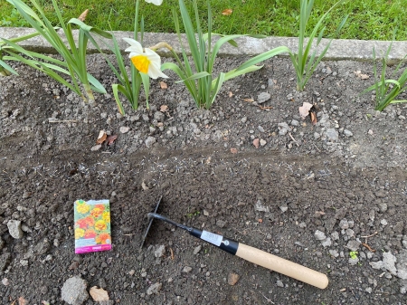 Zajęcia w ramach projektu ''Radlin-miasto talentów''