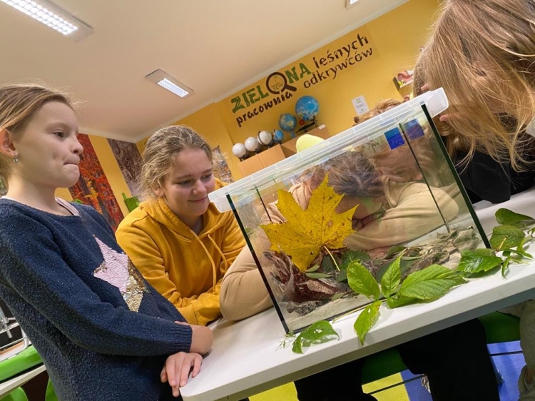 Sp 4 Radlin Plan Lekcji sp4.radlin.pl