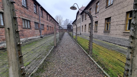 8a w Miejsce Pamięci Państwowe Muzeum Auschwitz-Birkenau.